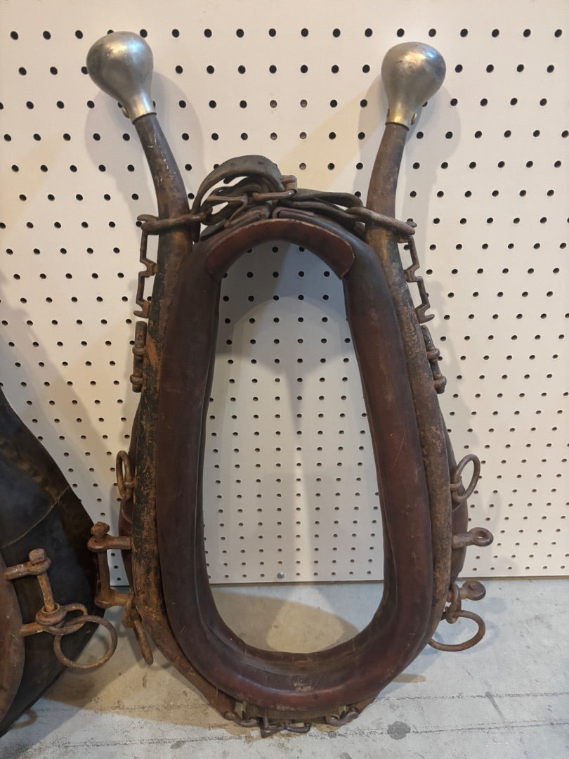 Horse collar