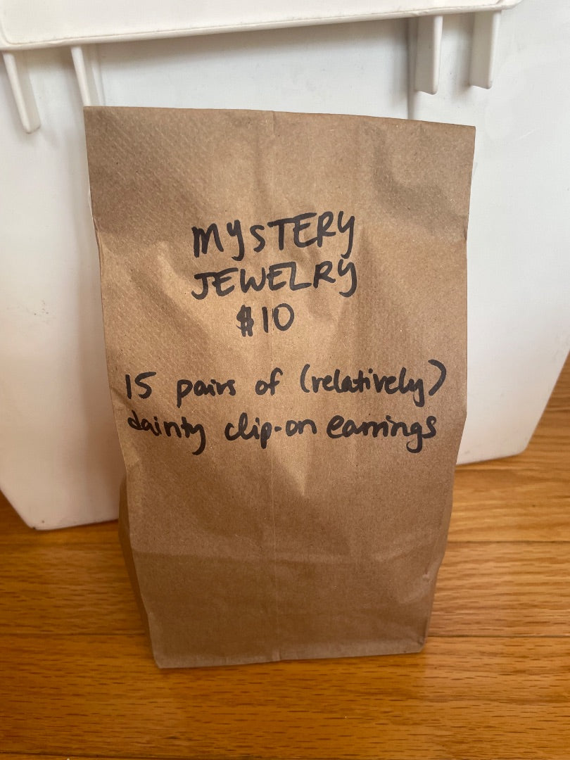 Mystery Jewelry Bag $10