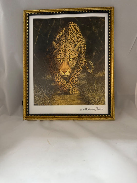 Cheetah picture, Small