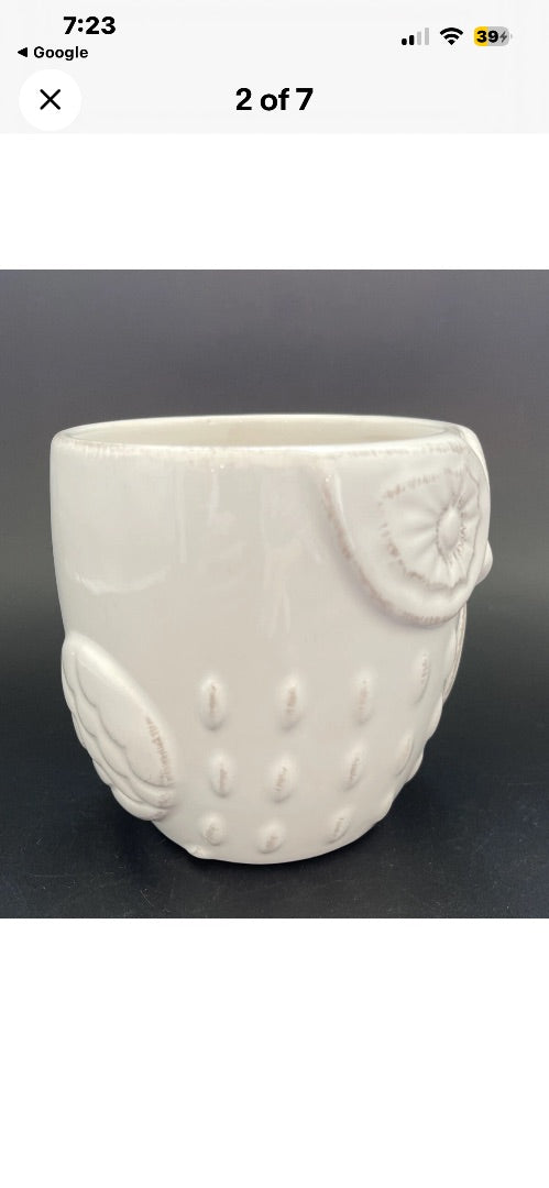 Pier 1 Imports "Ollie the Owl"