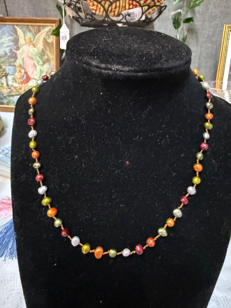 Multi-colored  Necklace