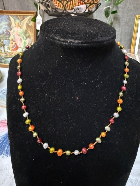 Multi-colored  Necklace