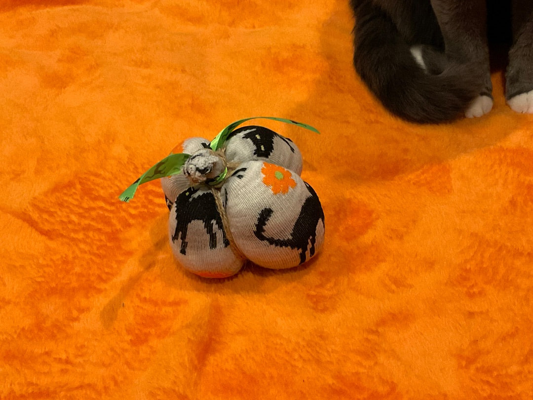 Black, White, Orange Handmade Black Cat Pumpkins, Mini