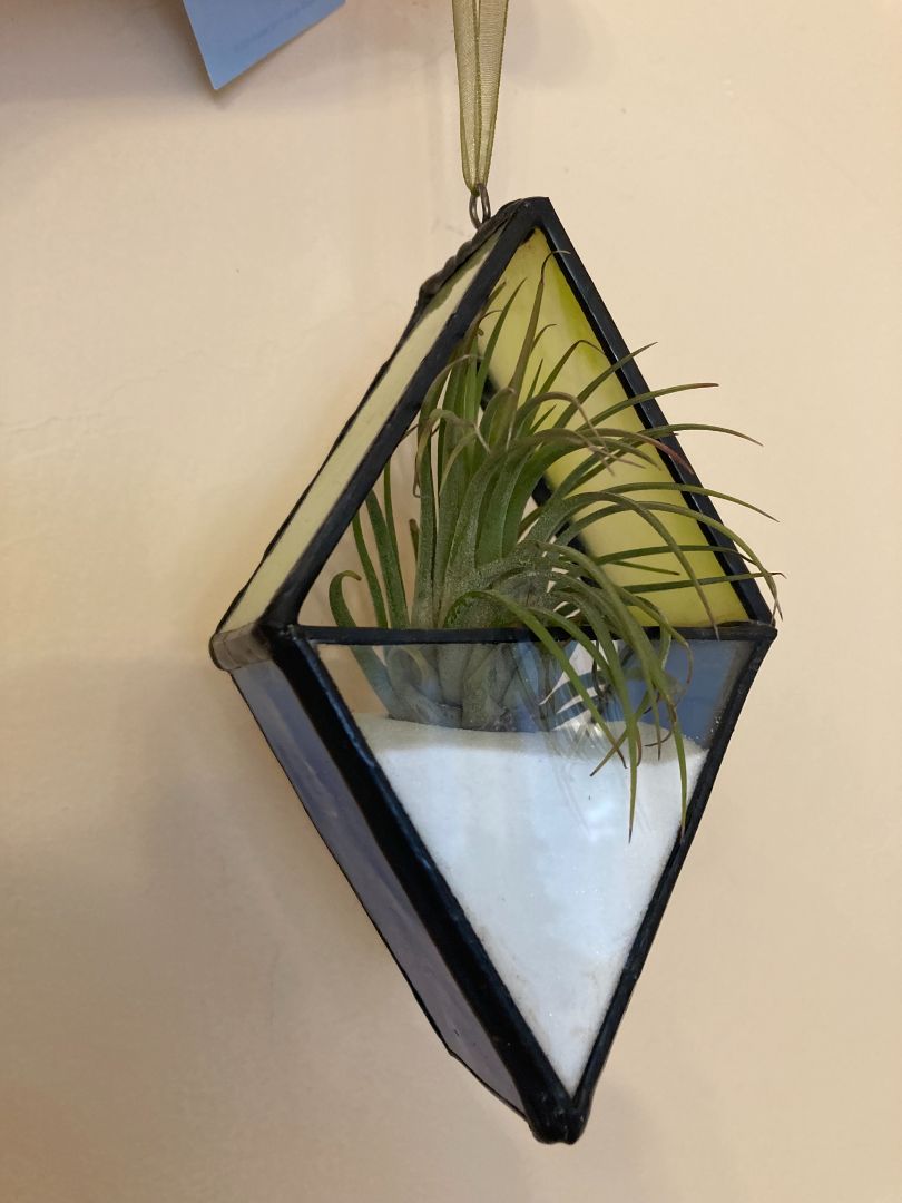 blue Stained glass plant propagation station