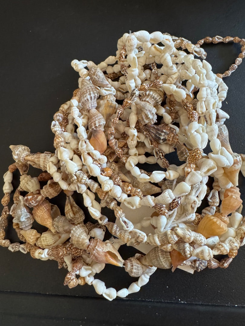 Strands of sea shells for crafting