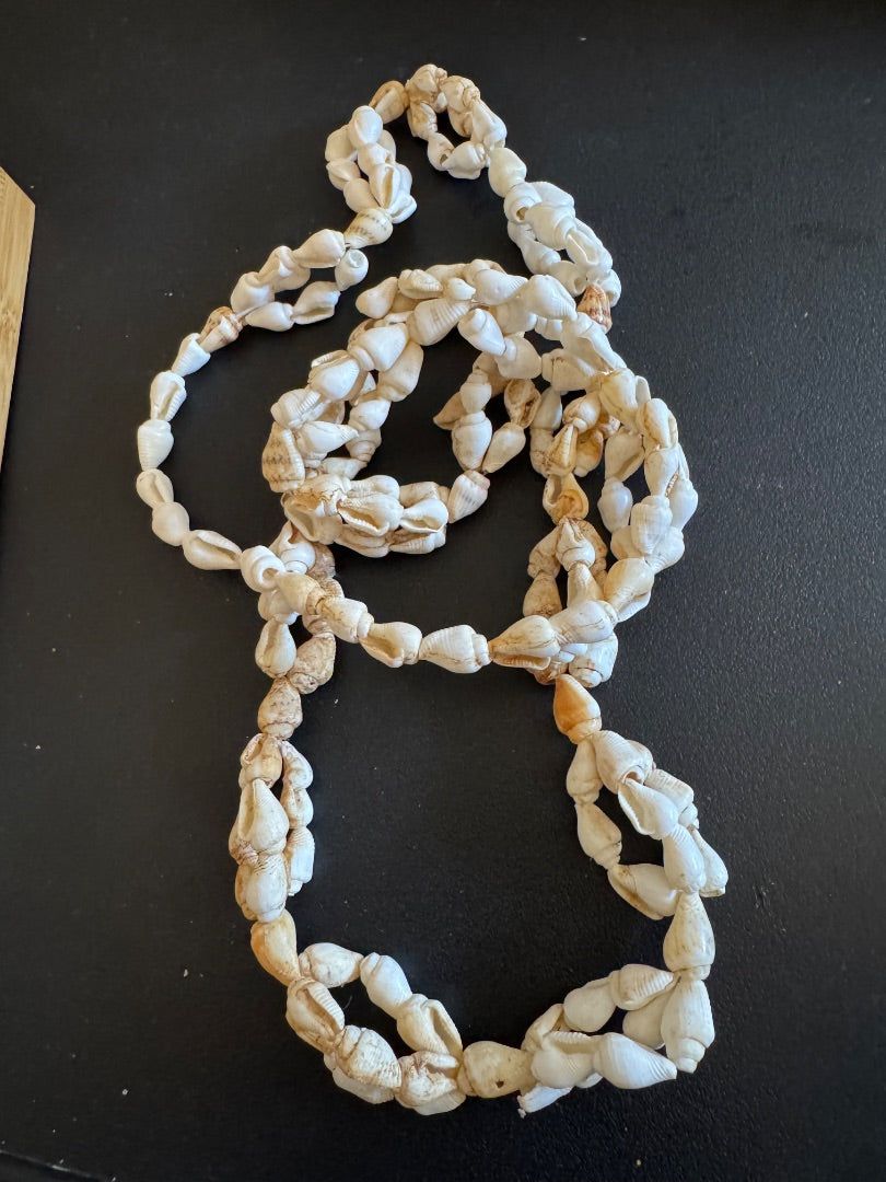 Sea shell design offwhite necklace