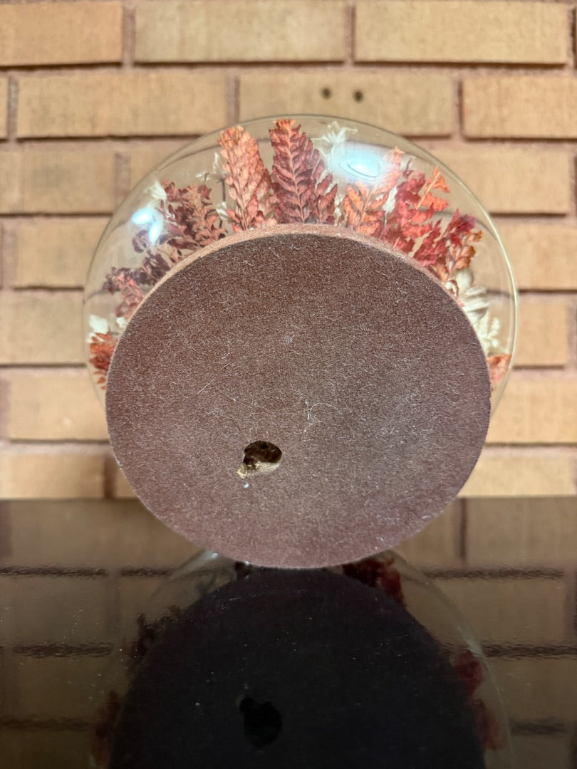 Fall Colors Dried Flowers under Glass Dome, 5” tall, 7 1/2” across
