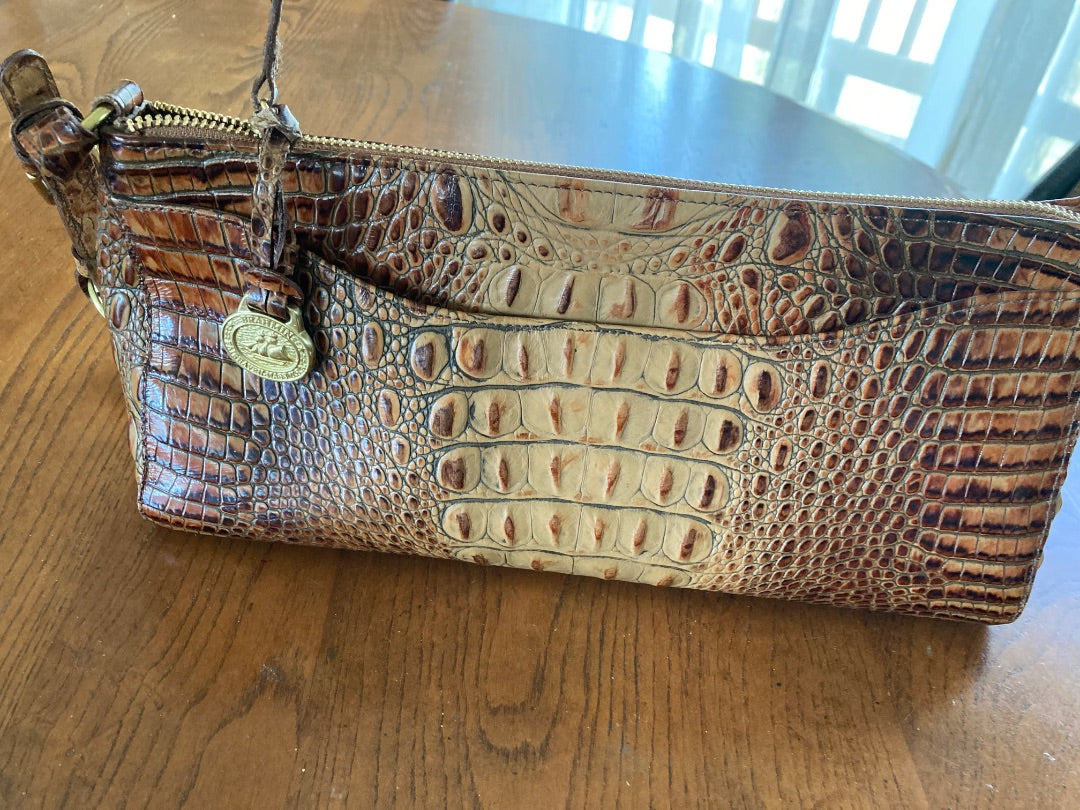 Brown Brahmin medium