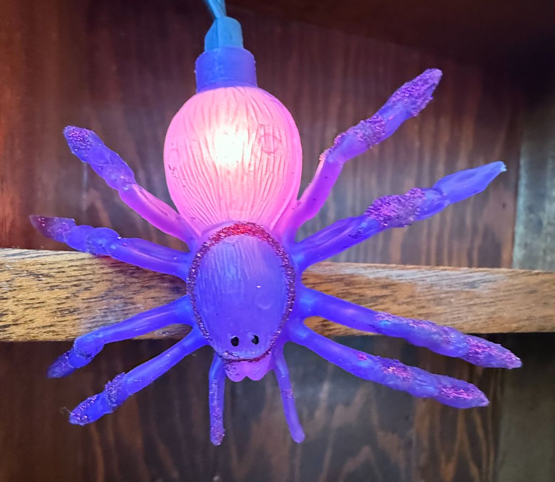 Spider String Lights