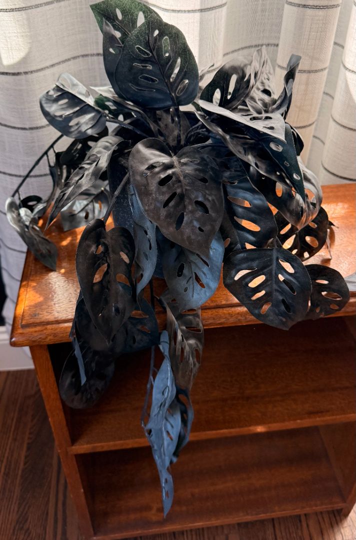 Faux Black Plant