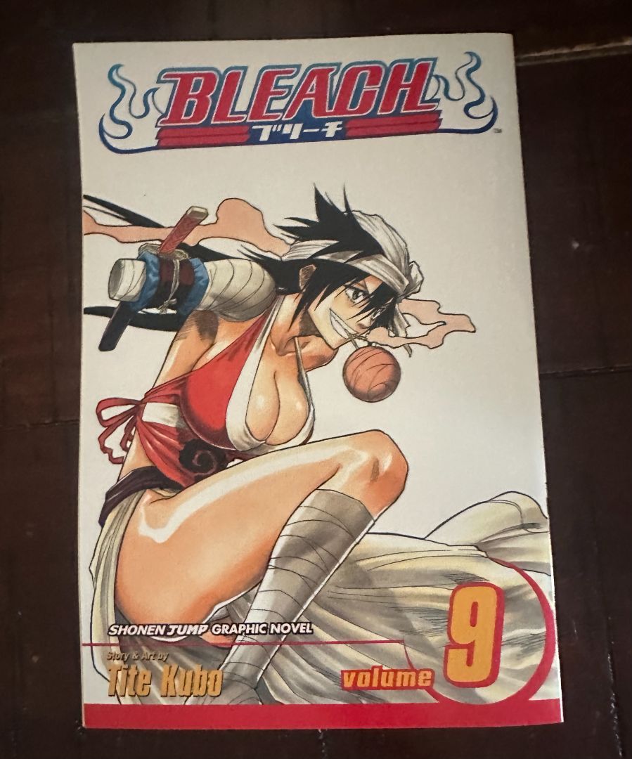 Bleach Manga Vol 9