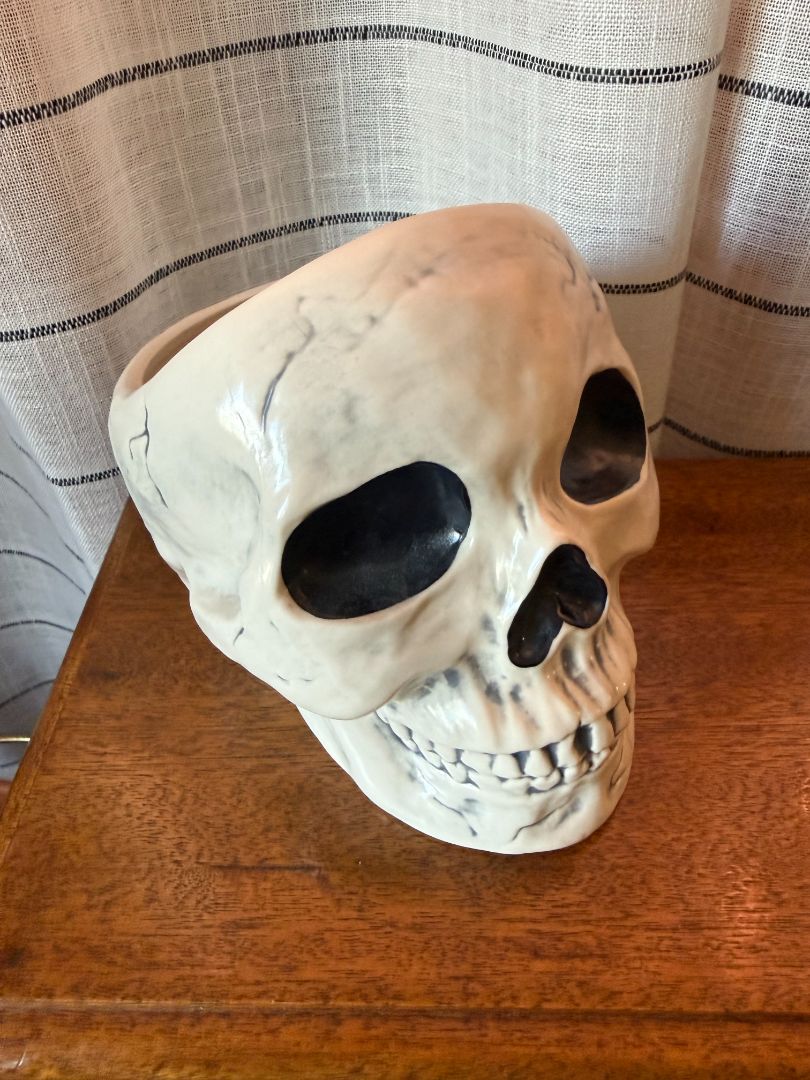Ceramic Skull Planter