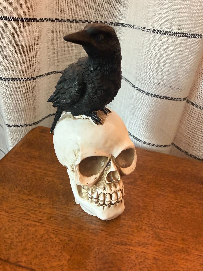 Skull with crow