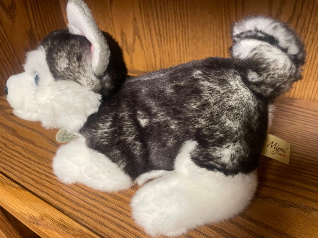 Aurora Husky Myoni
