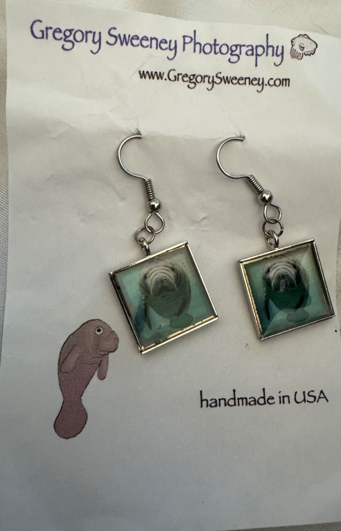 GeorgeSweeney photo earrings