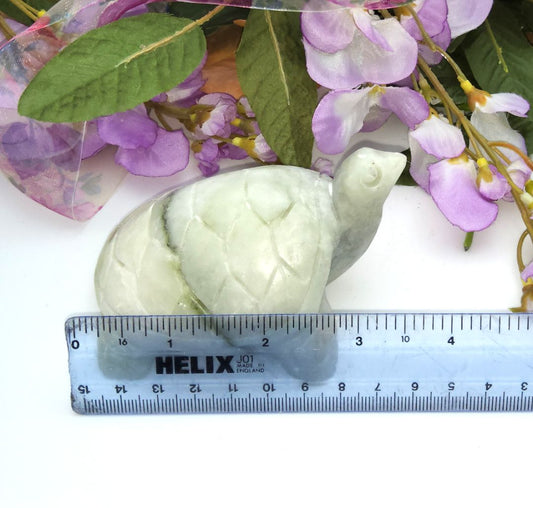 Jade Turtle Stones