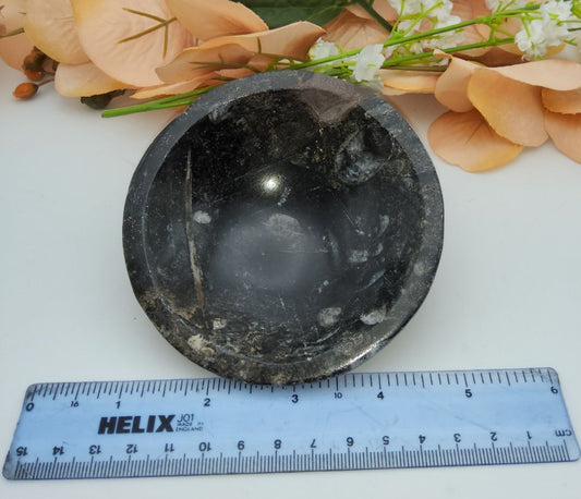 Orthoceras Bowl Stones