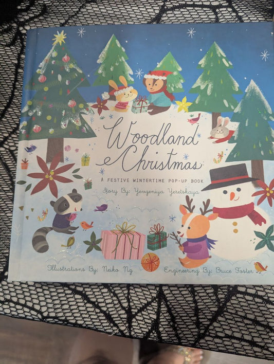 book Wonderland Christmas