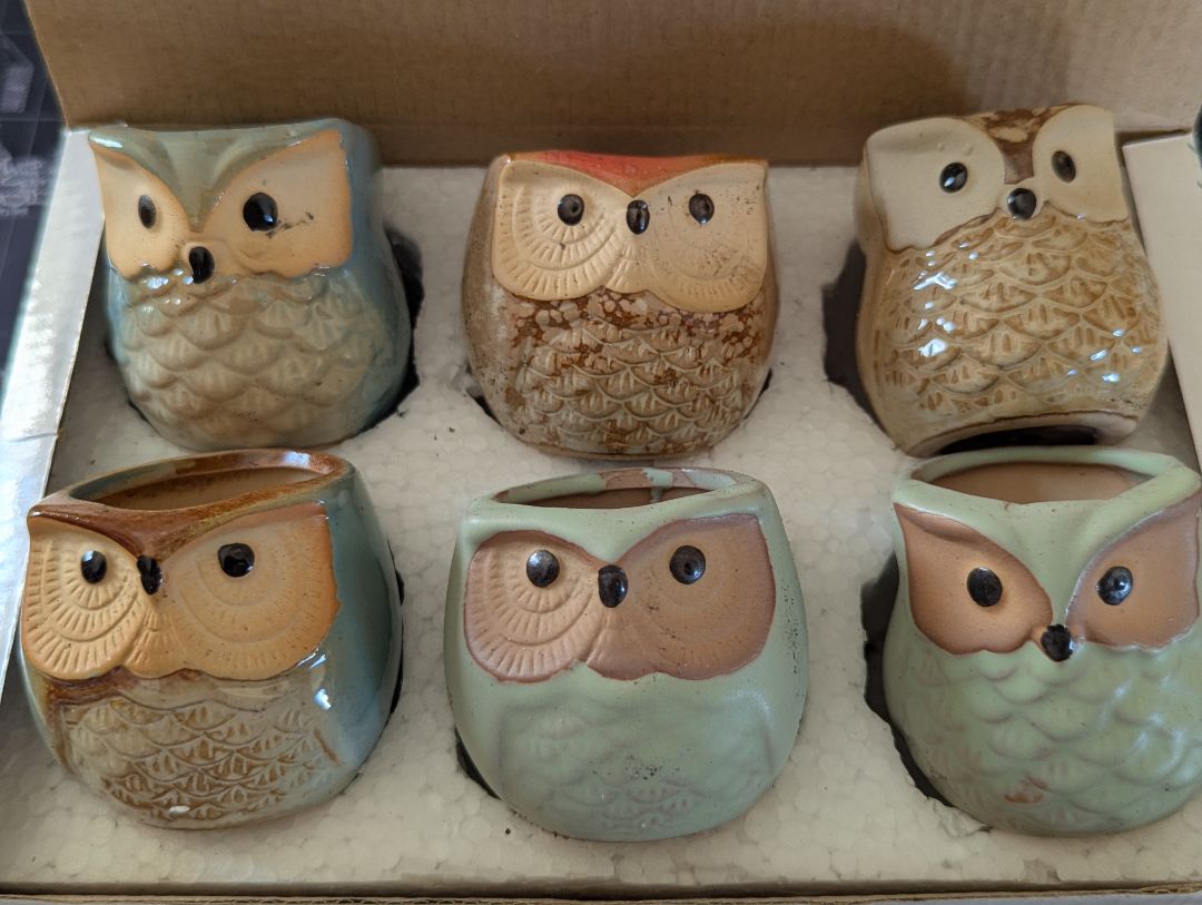 Owl planters