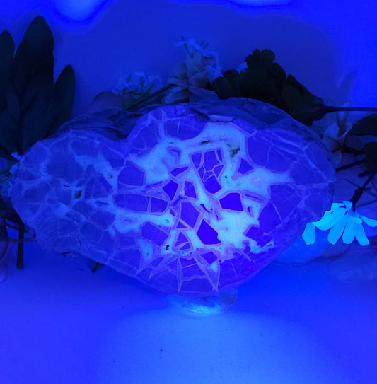 Rough Cut Septarian Dragons Egg Stones