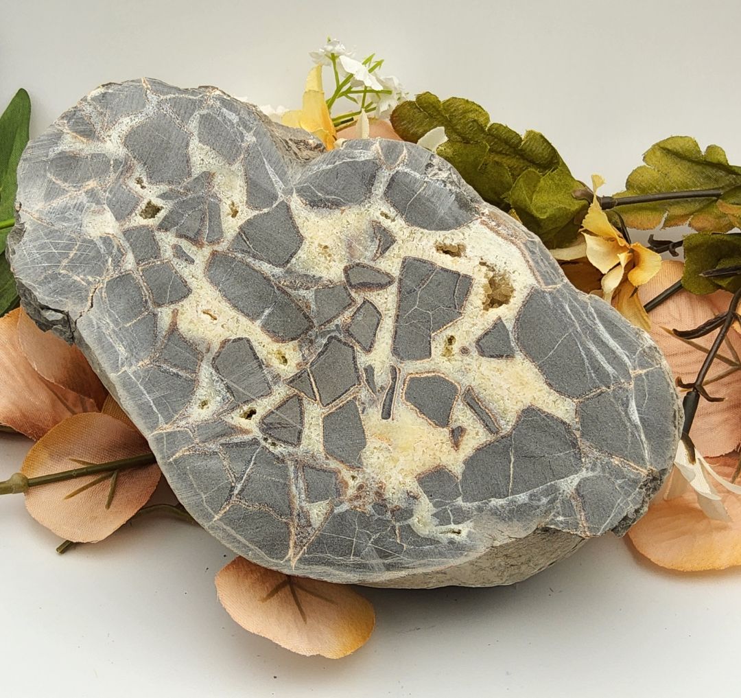 Rough Cut Septarian Dragons Egg Stones