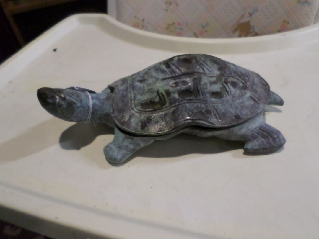 Cast Iron Turtle