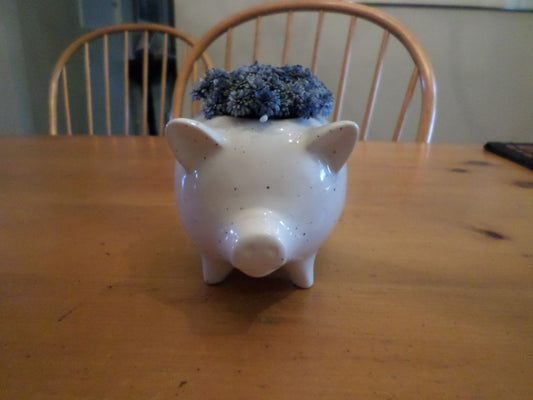 Ceramic Pig Planter