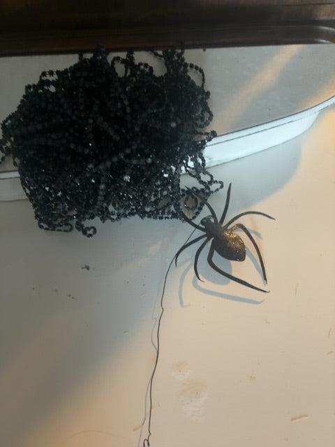 Black Spiderweb w/spider