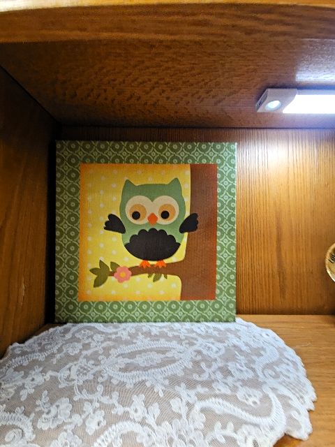 Green Cute Owl canvas MISC