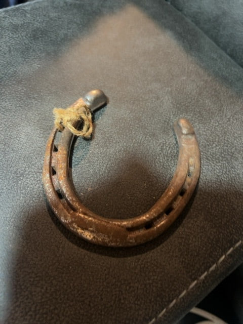 Steel Horse shoe
