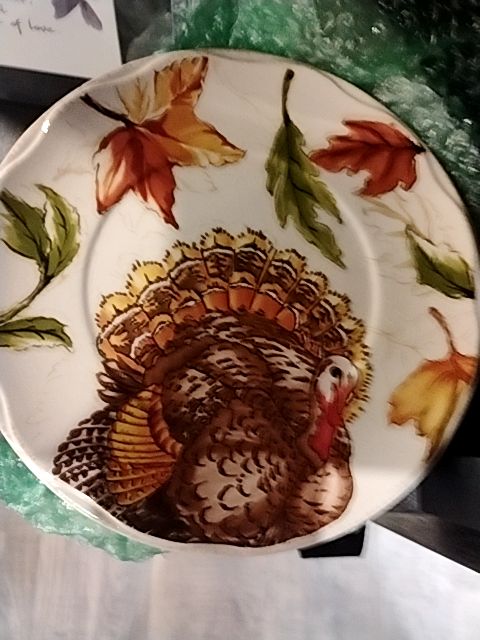 White and Orange Thanksgiving plates Set