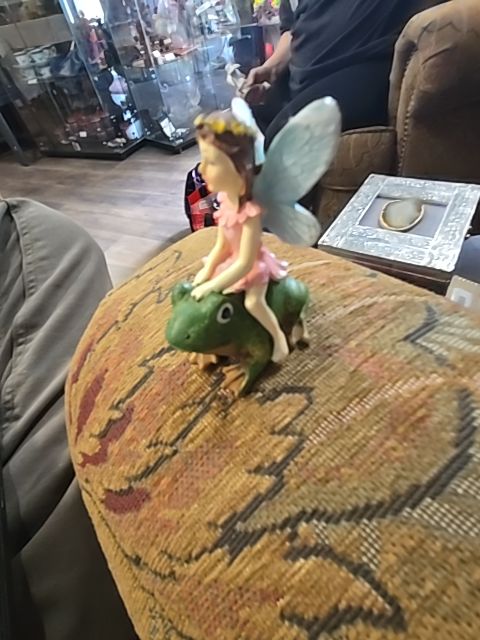 Green Assorted Fairy on frog