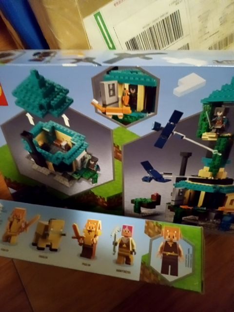 New LEGO 21173 Minecraft