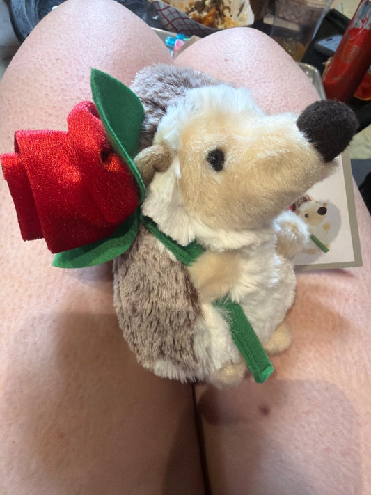 Aurora Max the Hedgehog