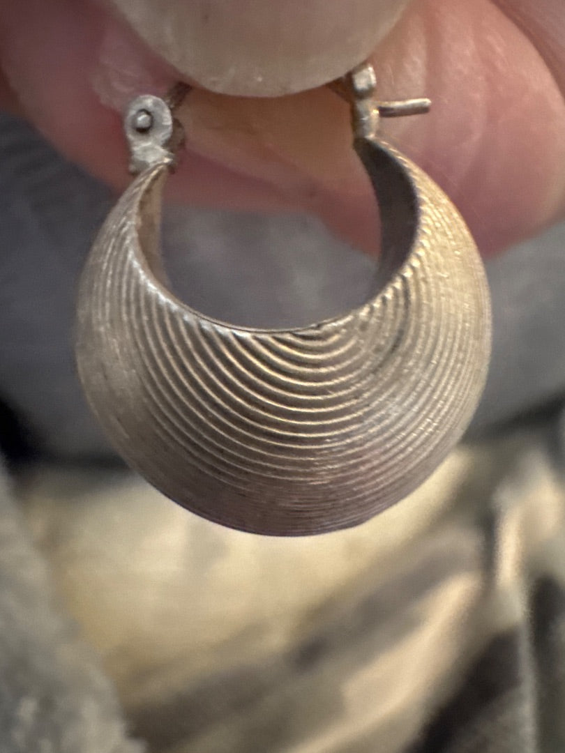Sterling and stone earrings