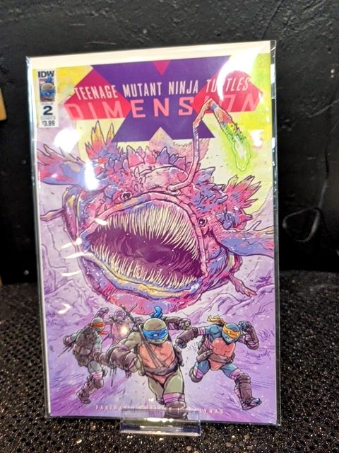 Teenage Mutant Ninja Turtles Dimension # 2 Cover B IDW Comics TMNT