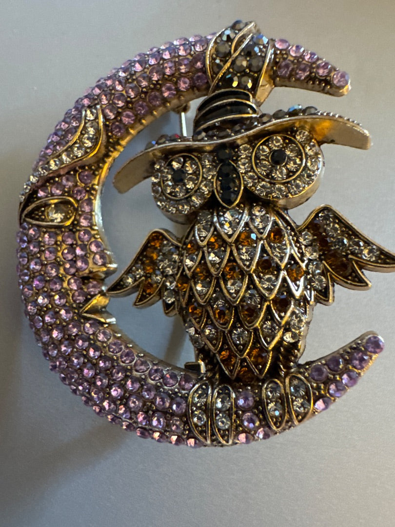 Owl in hat with moon brooch
