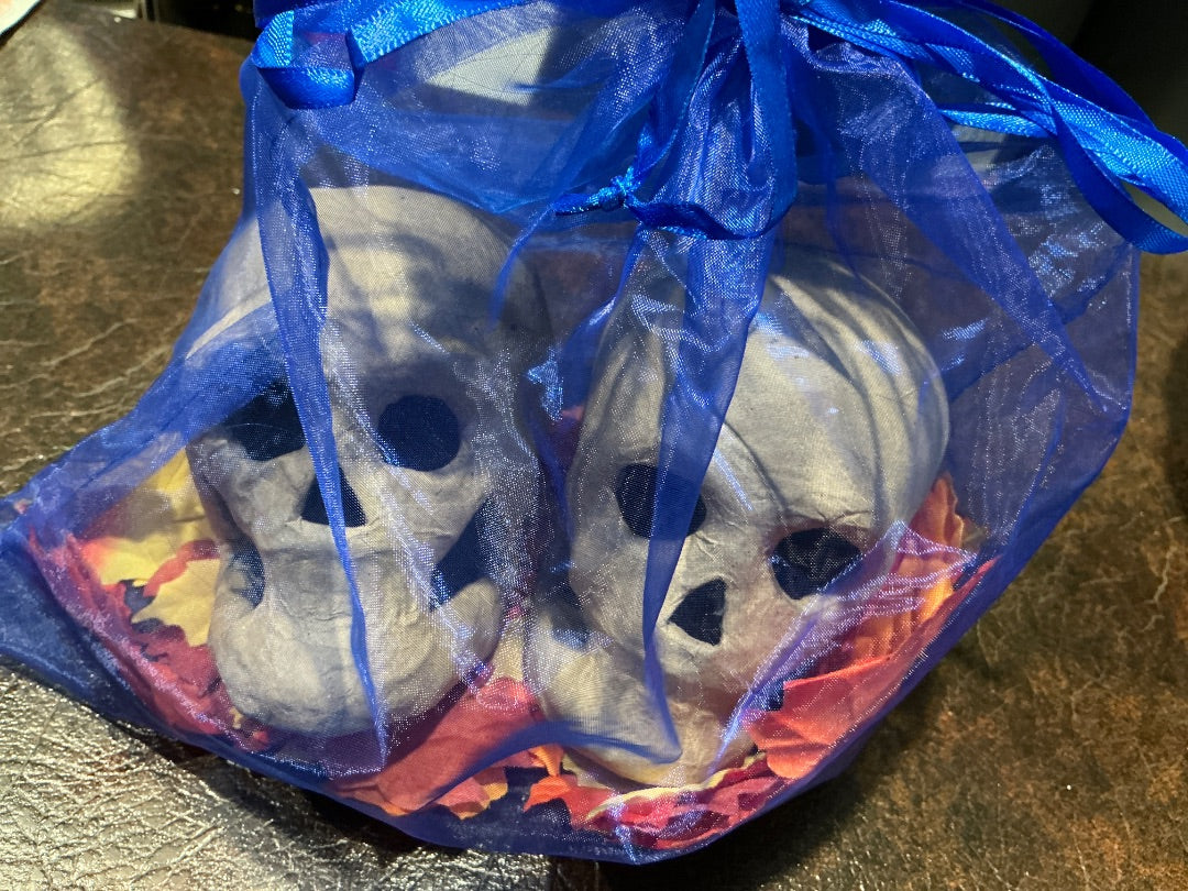 Unknown Paper mache skulls
