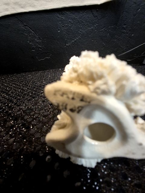 White Vintage Porcelain Spagetti Poodle, 2.5" × 2.5" × 3.25"