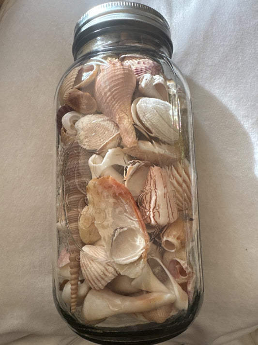 Shells in ball glass