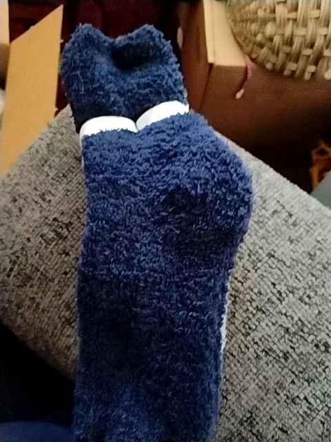 4 pk (Blu, lt gray, wht, dark gray) Aerosoles Slipper Socks, Sock  SZ 9-11/ Shoe SZ 5-10