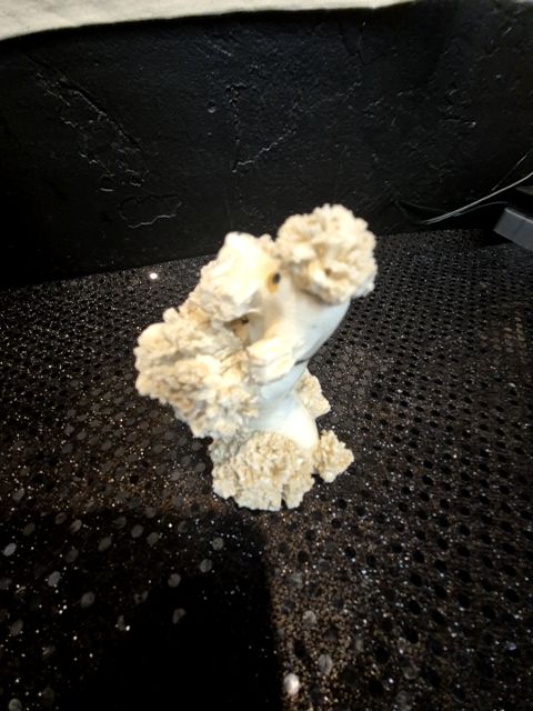 White Vintage Porcelain Spagetti Poodle, 2.5" × 2.5" × 3.25"