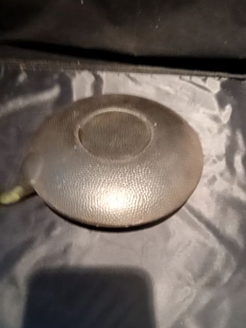 Asian cast iron tea pot pre owned