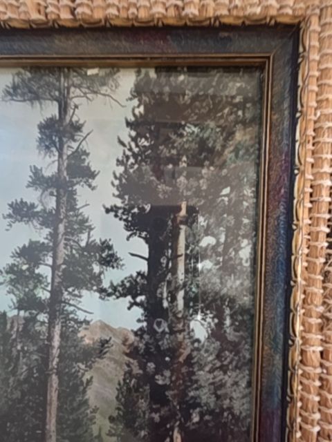 11.5" x 7.5"  Antique hand tinted photo