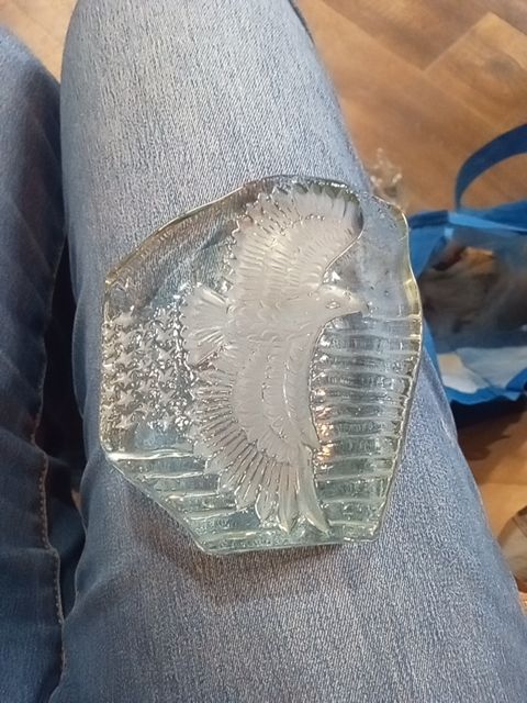Glass etched eagle glass