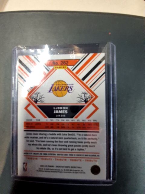 Panini-Haunted Hoops Basketball 2024-25 LeBron James Los Angeles Lakers Basketball Trading Card