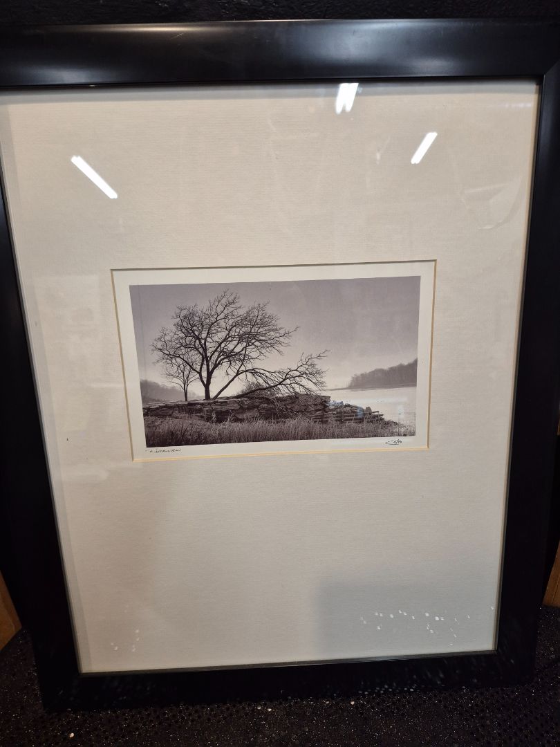 Richard Calvo Riverview Framed Print