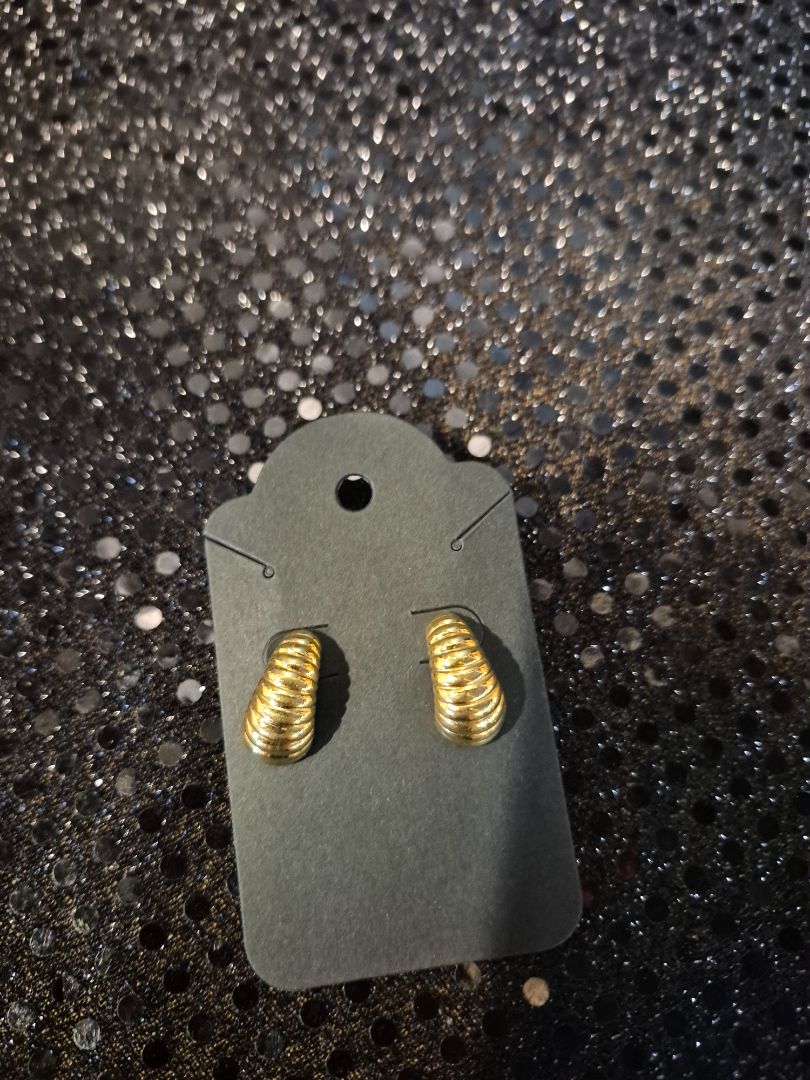 Gold Toned Earrings