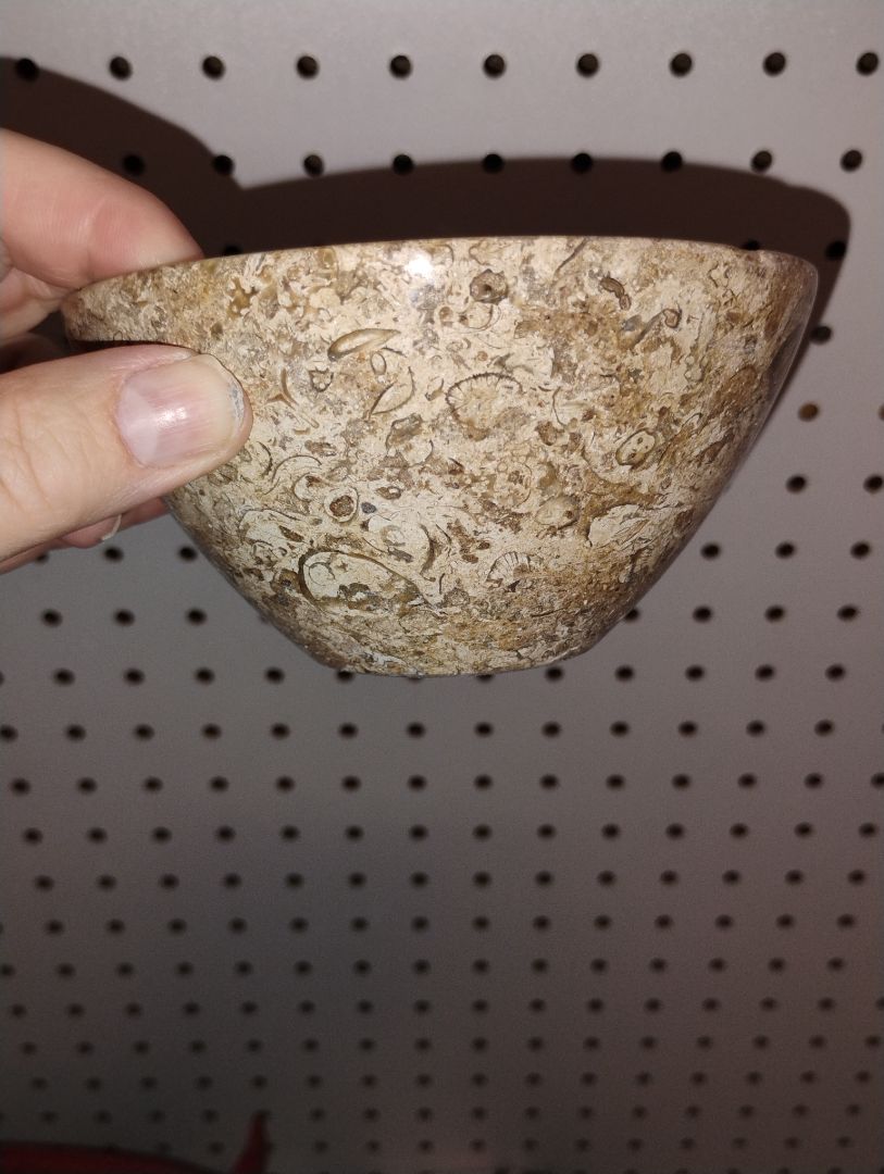 Fossil stone marble bowl, Tan, cream, brown