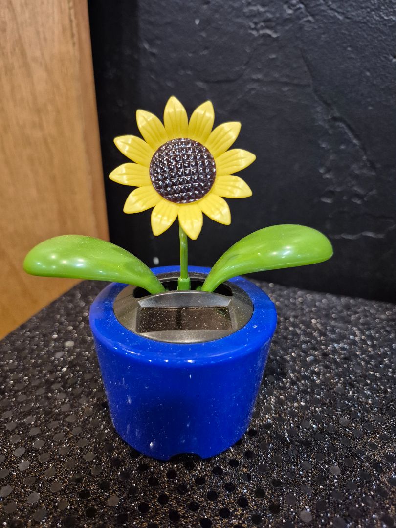 Solar Powered Sun Flower